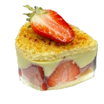 Fraisier Rosa